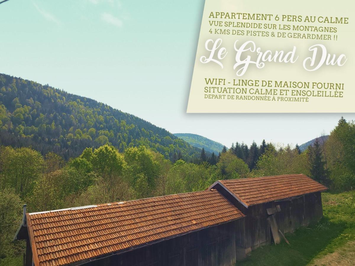 ⁂⁂ Le Grand Duc Appartement Cledicihome / Magnifique Vue Sur Les Montagnes / 4 Kms De Gerardmer ! ⁂⁂ Rochesson ภายนอก รูปภาพ