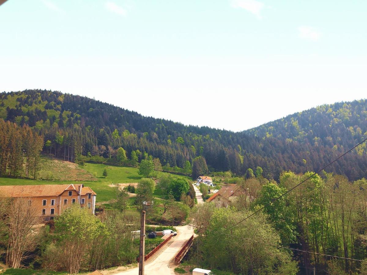 ⁂⁂ Le Grand Duc Appartement Cledicihome / Magnifique Vue Sur Les Montagnes / 4 Kms De Gerardmer ! ⁂⁂ Rochesson ภายนอก รูปภาพ
